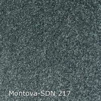 Montova-SDN 217